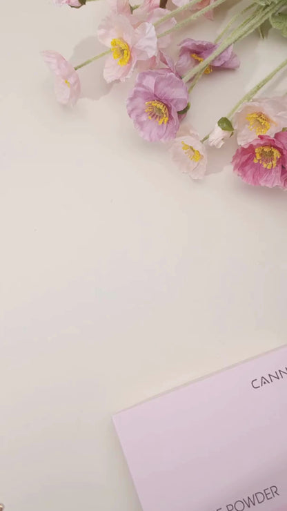 CANNI Chrome Powder Set – sada chrómových práškov na nechty 12 × 0,3 g + Top Coat 9 ml